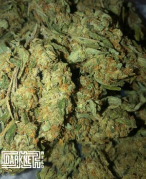 weed shop online