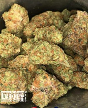 Coffee shop Amsterdam, Buy Amnesia Haze Weed Online