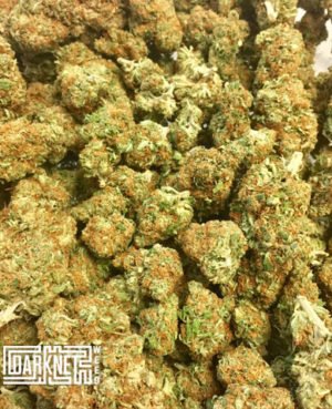 Buy Jack Herer Marijuana Strain UK