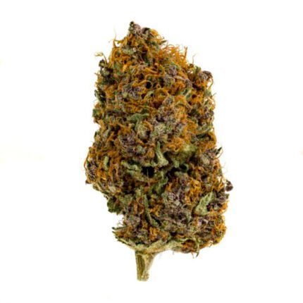 Buy granddaddy purple