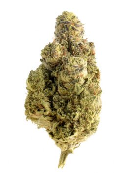 Blue Dream Weed kaufen