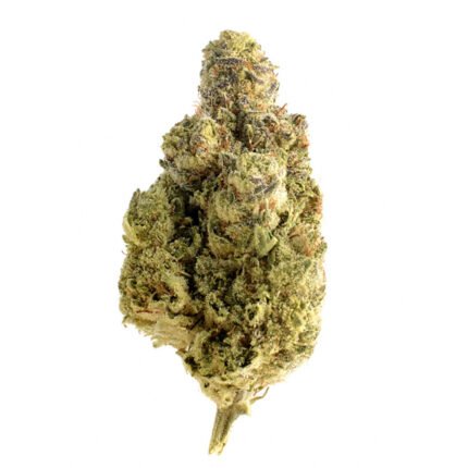 Comprare l'erba Blue Dream