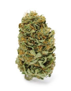 Buy Amnesia Haze