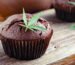 THC Edibles for Sleep Improvement