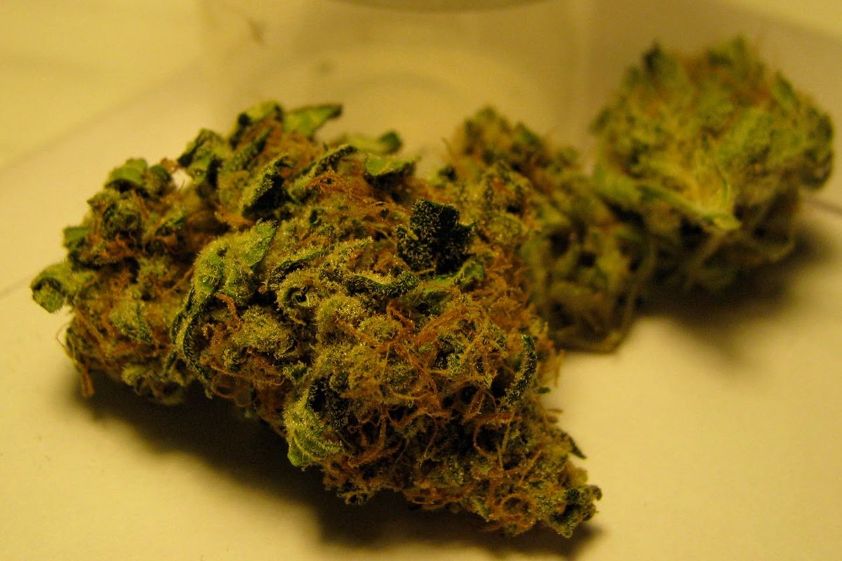 durban poison review