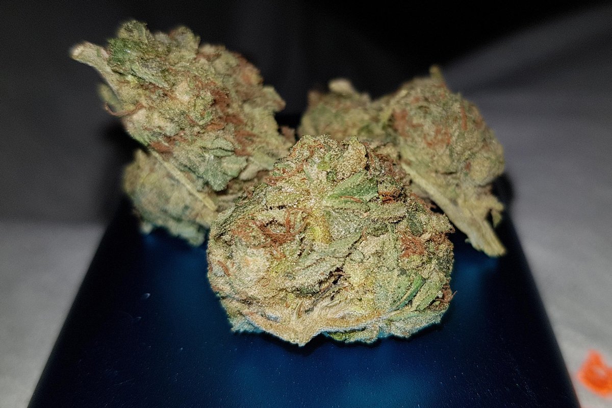 girl scout cookies review